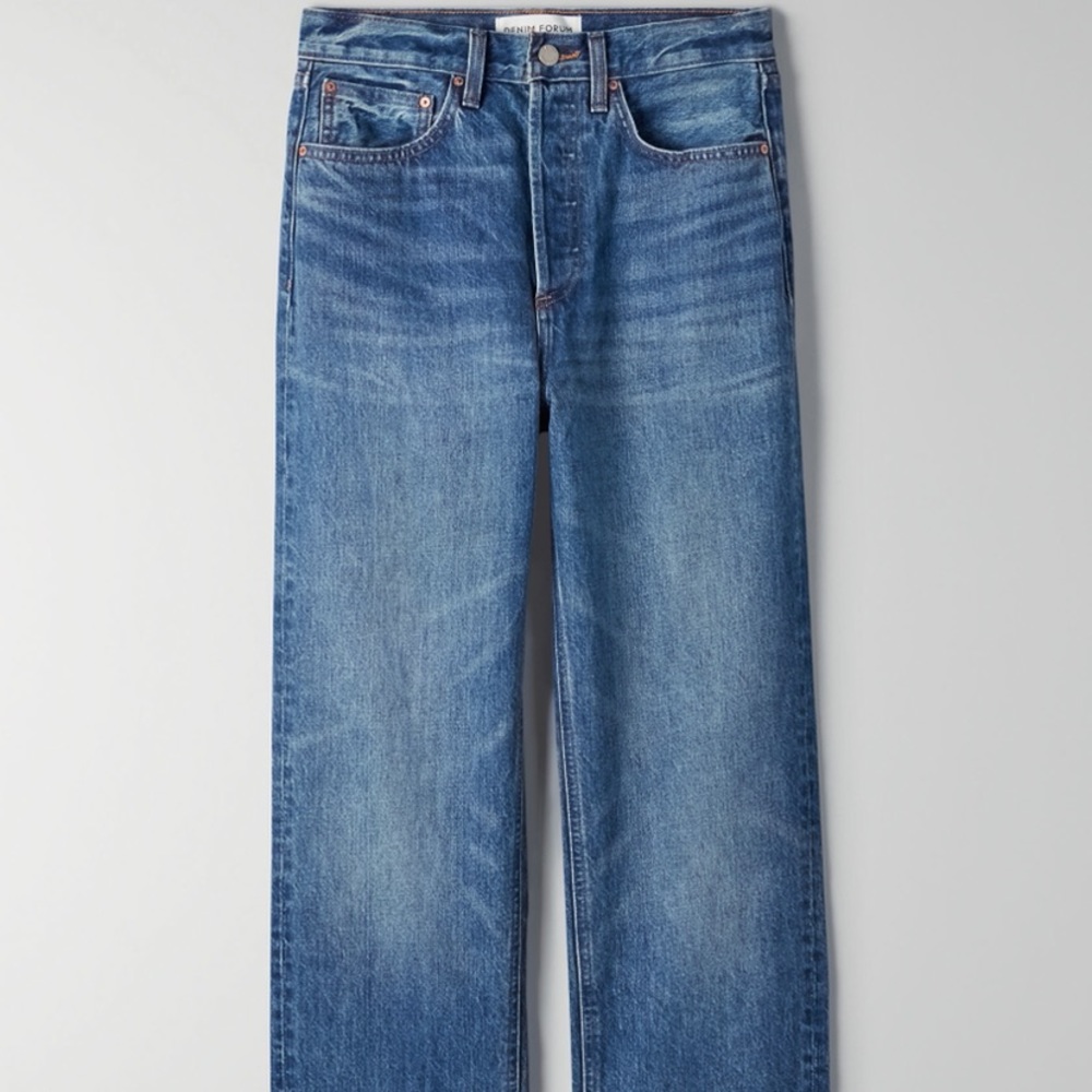 Aritzia Denim Forum Straight 30L